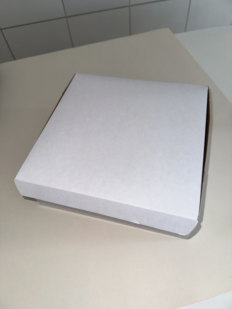 Caja blanca 10" x 10" x 4" (h)